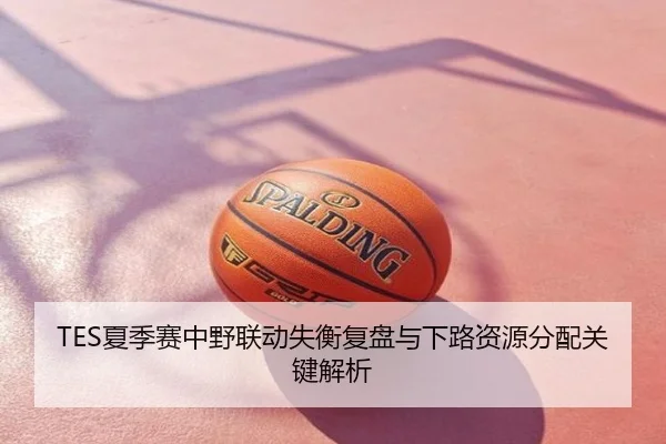 TES夏季赛中野联动失衡复盘与下路资源分配关键解析