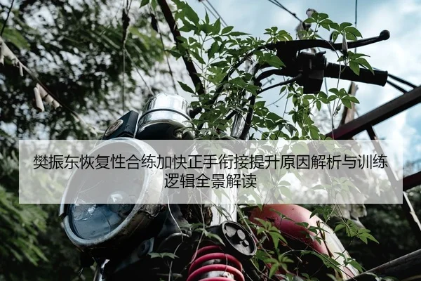樊振东恢复性合练加快正手衔接提升原因解析与训练逻辑全景解读
